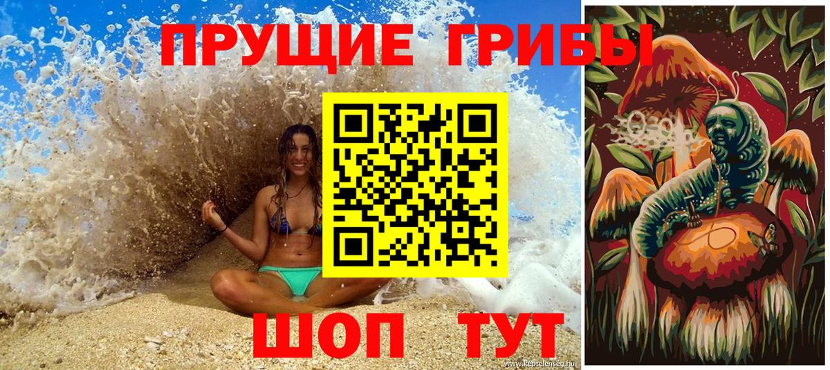 Краснотурьинск  Псилоцибиновые грибы MAGIC MUSHROOMS  Вход с VPN 